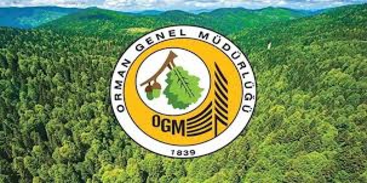 Tarım ve Orman Bakanlığı Orman Genel Müdürlüğü memur alıyor. Çok özel şartlar var!