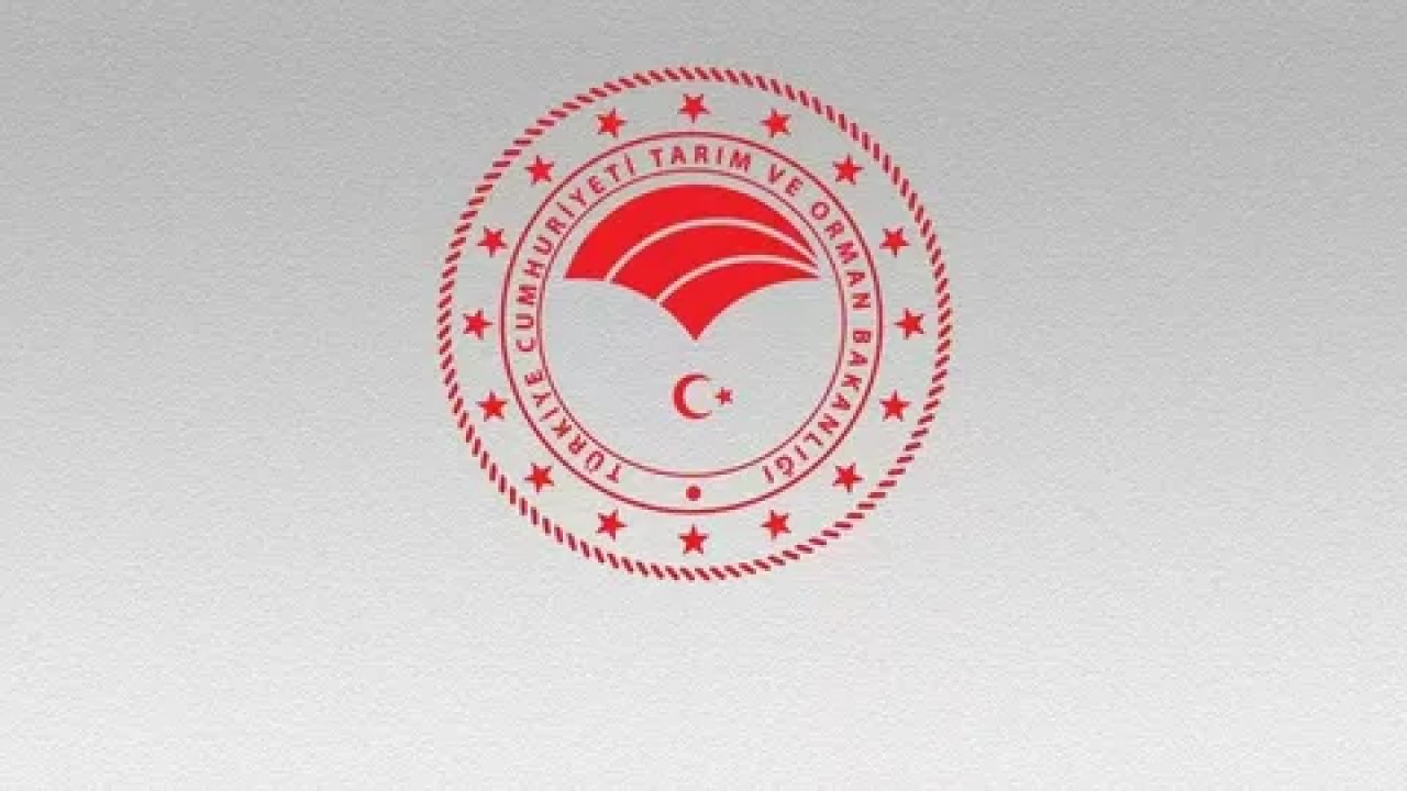 Tarım Bakanlığı’ndan korkutan itiraf: Et krizi en az 6 yıl sürecek...