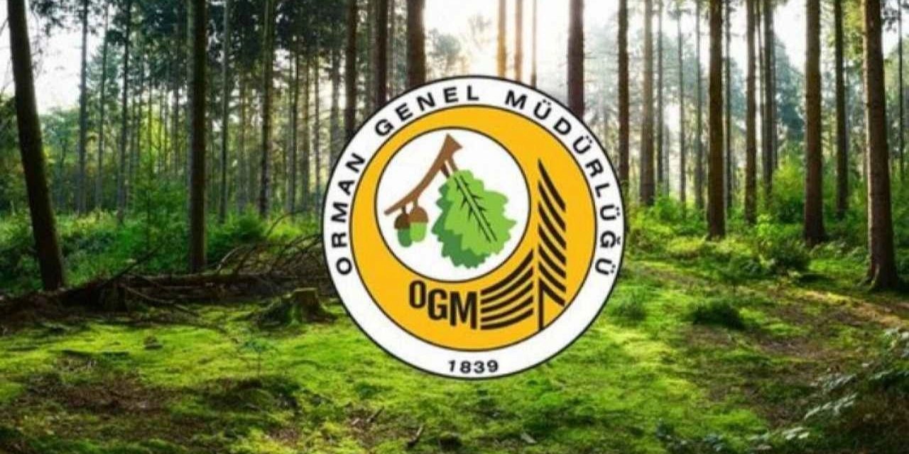 İş arayanlara müjde, Orman Genel Müdürlüğü 2477 adet personel alımı yapacak
