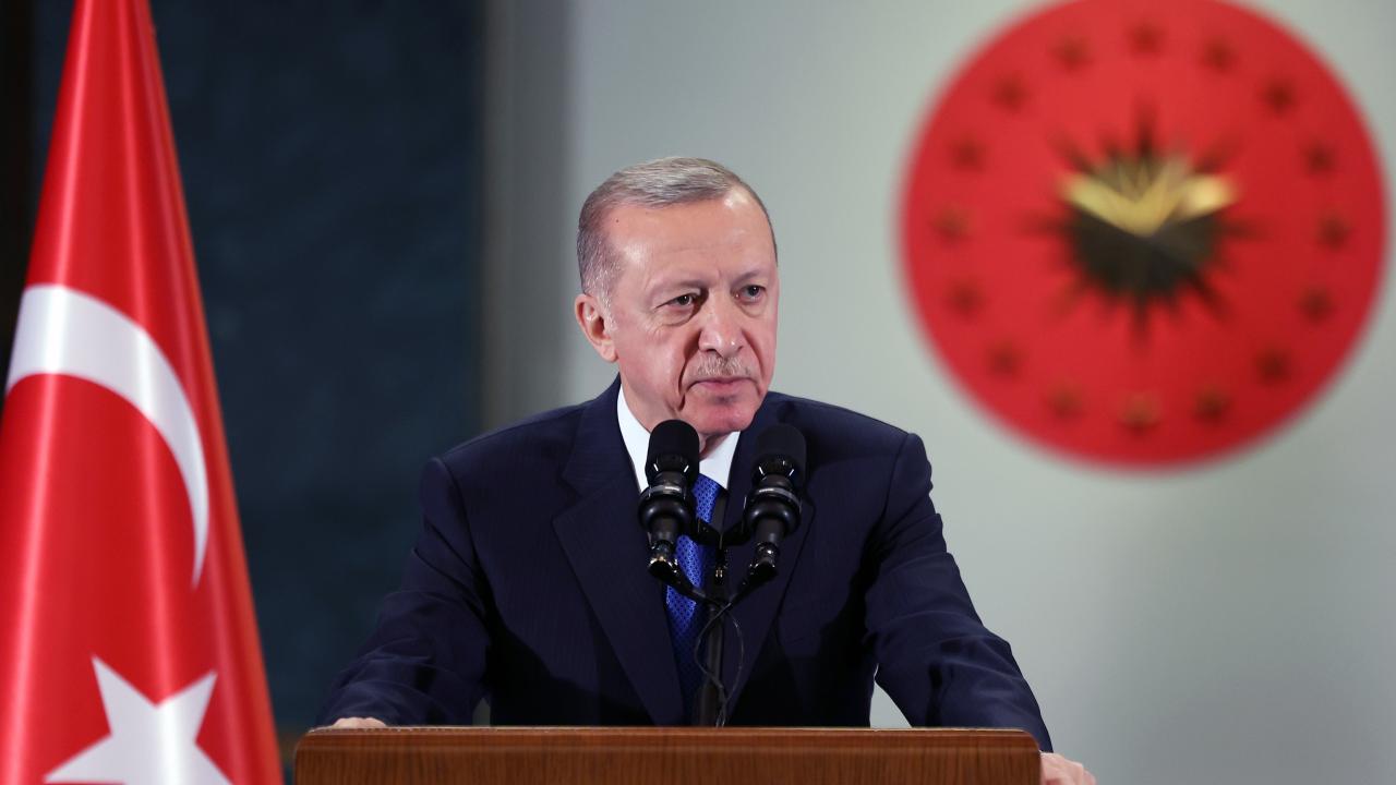 Cumhurbaşkanı Erdoğan'dan sokak köpekleri için kesin talimat