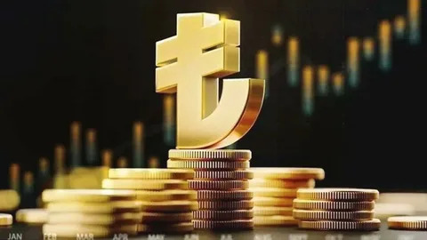 Merkez Bankası Dijital Para Sürecini Hızlandırıyor: Düzenlemeler 2026'da Geliyor