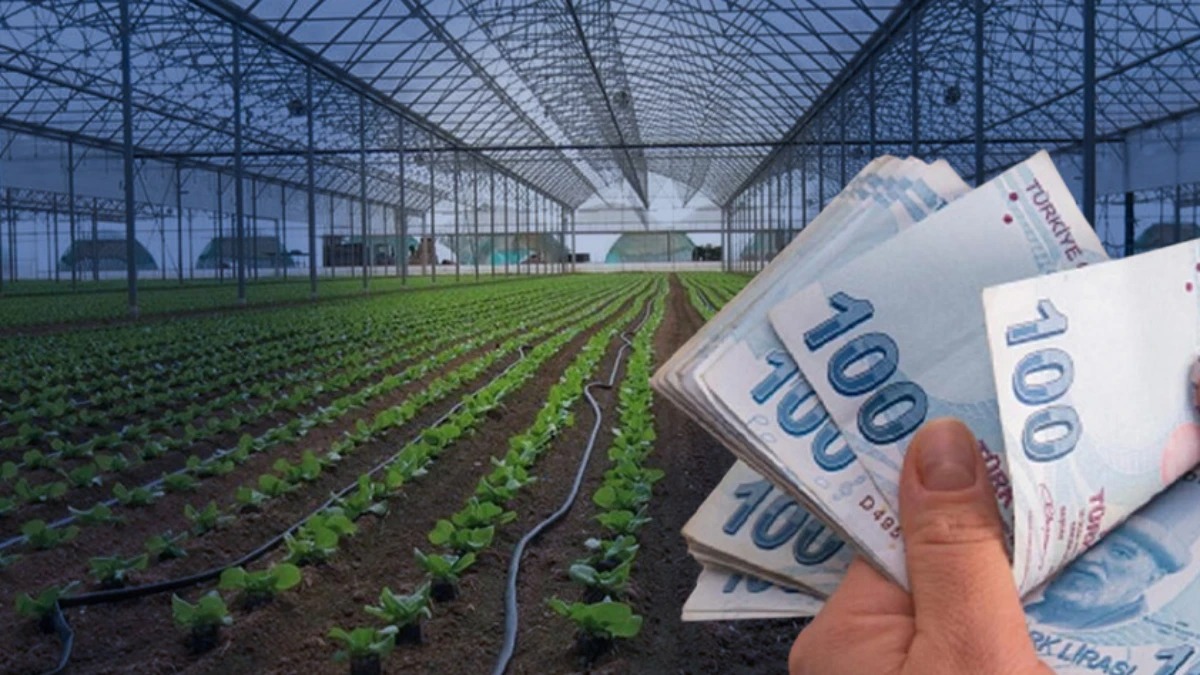 Organize Tarım Bölgelerine 6 Milyar Liralık Dev Destek! 13 Bölgede Üretim Başladı, İstihdam 8 Bini Geçti!