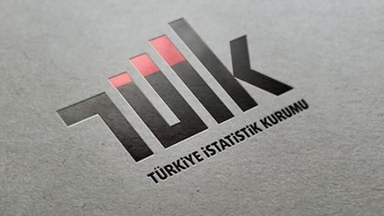 TÜİK açıkladı: Herkes memleketinde yaşasaydı en büyük il hangisi olurdu?
