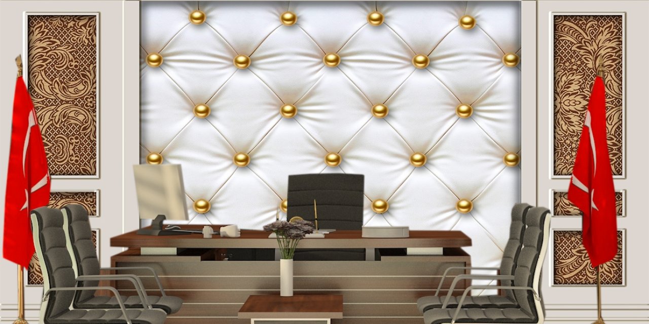 Yönetmelik Değişti: O Bölüm Mezunları Kaymakam Olabilecek