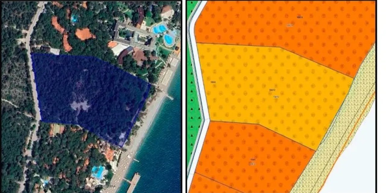 Antalya’da Bürokratik Skandal: Devletin Ormanını Kendi Aralarında Bölüşen Memurlara Yargı Tokadı!