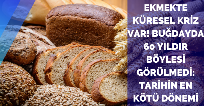 Ekmekte küresel kriz var! Buğdayda 60 yıldır böylesi görülmedi: Tarihin en kötü dönemi