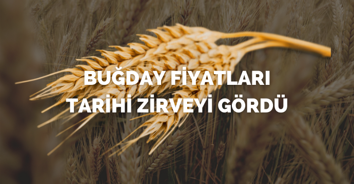 Buğday fiyatları tarihi zirveyi gördü