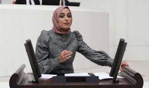 Mine Tozlu'dan şok açıklamalar: Amacım Cumhurbaşkanımıza ulaşıp ona durumu anlatmaktı.Beni rüşvete yönlendirdiler!