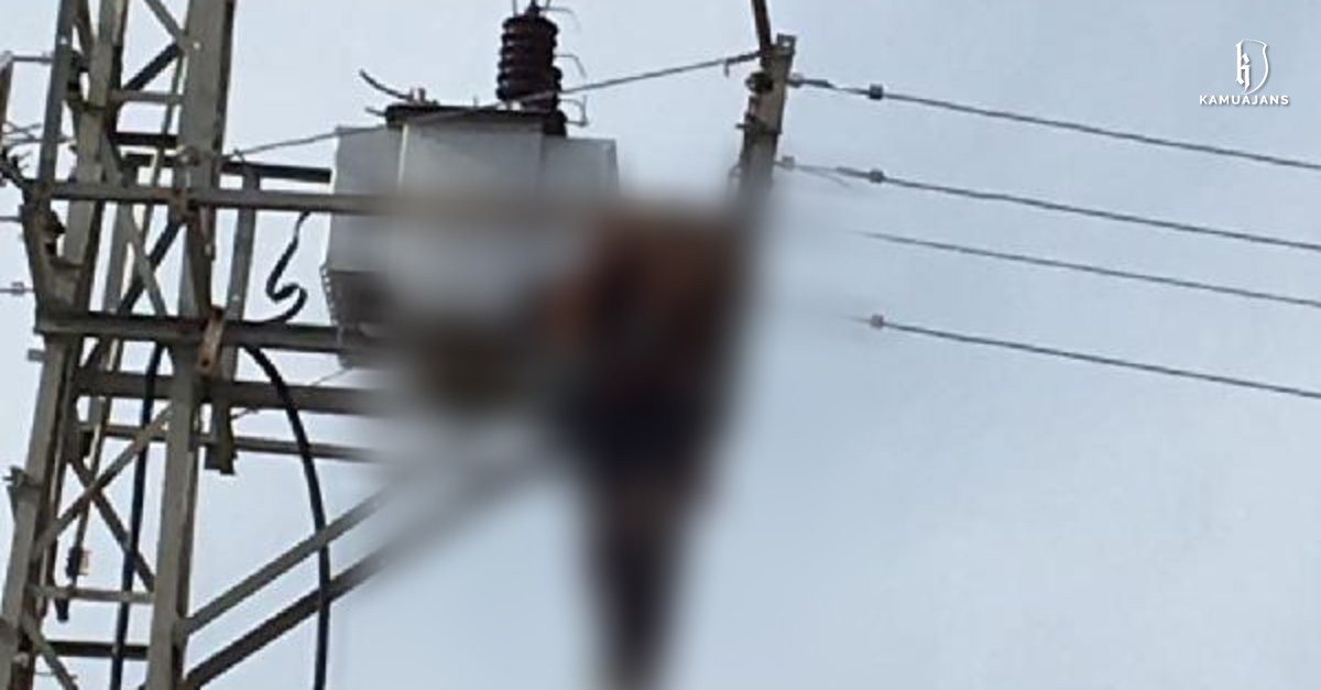 Elektrik direğine asılı ceset !