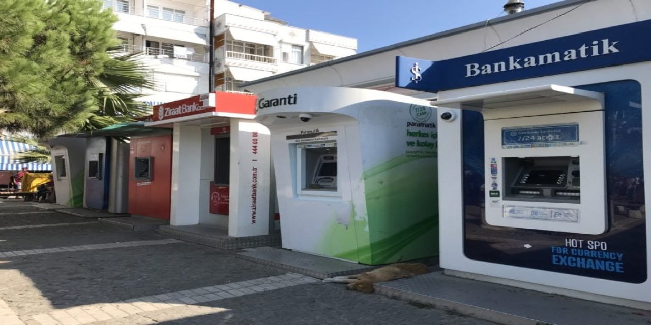 Bakan Yanık duyurdu! Ödemeler hesaplara yatırıldı