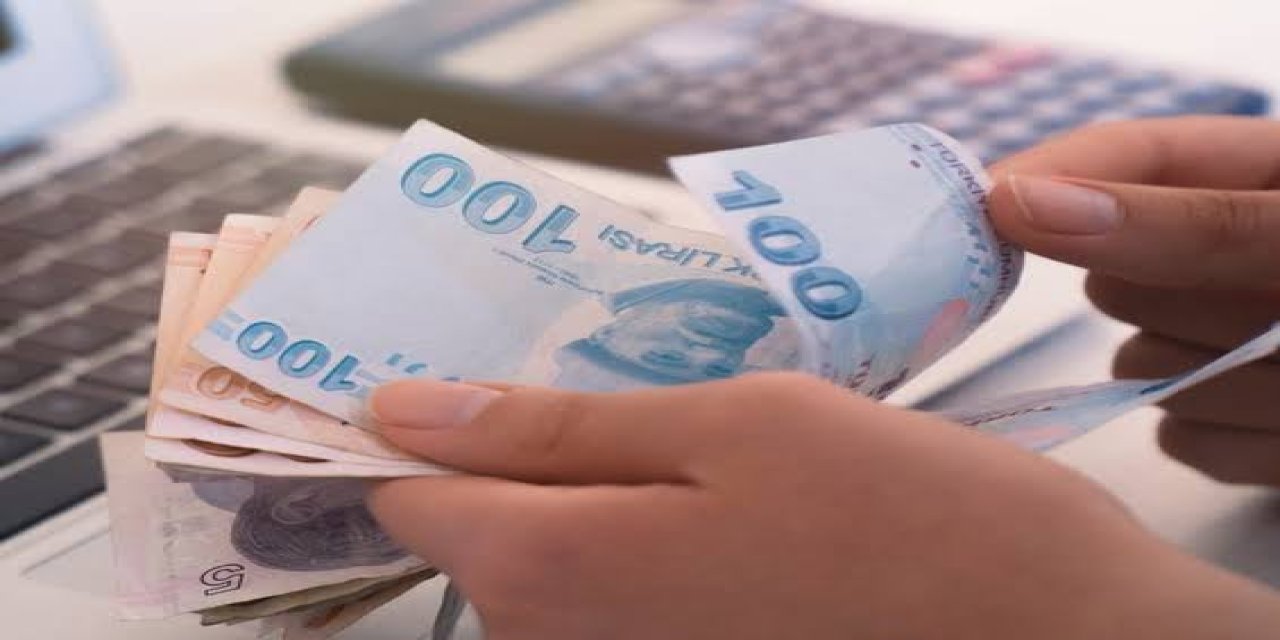 Devlet bankasından sıfır faizli, 12 ay ödemesiz  250 bin lira kredi imkanı