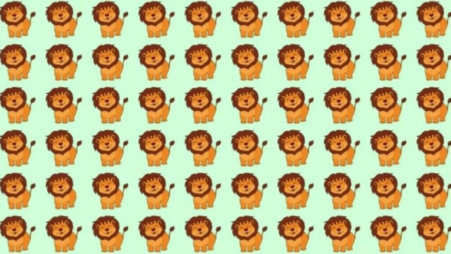 Çok zekiyim diyenler dahi bulamıyor! Bu test diğerlerinden çok farklı!