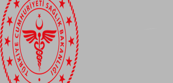 Seyyar Sandıkta Oy Kullanacak Yatağa Bağımlı Vatandaşlar Hakkında Genelge