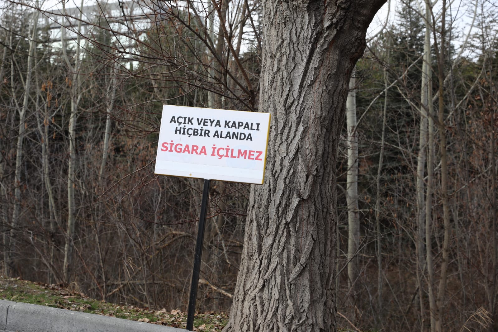 ''Dumansız Hava Sahası'' Uygulaması Yaygınlaşıyor