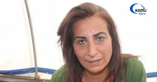 Aysel Tuğluk Gözaltına Alındı!