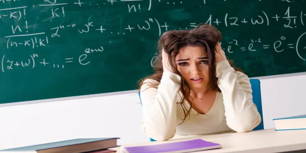 İstifa Etmek İsteyen Öğretmen Sordu: Başka Ne İş Yapabilirim?