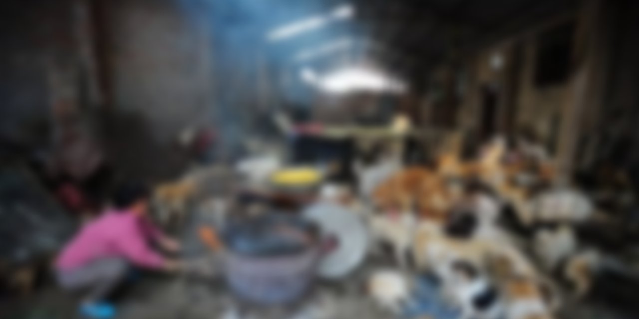 İki Yıl Kuzey Kutbunda Mahsur Kaldı! Baltayla Kendilerini Ayıdan Savundular. Köpeklerini yemek zorunda kaldılar