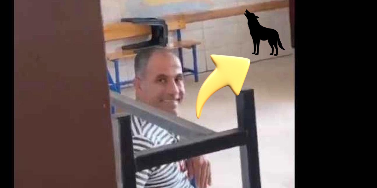 Oy Kullanma Kabinine Girdi Ulumaya Başladı Herkes Ne Oluyor Derken Sonrasında Yaşananlar...