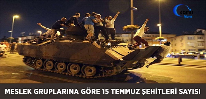 Meslek Gruplarına Göre 15 Temmuz Şehitleri Sayısı
