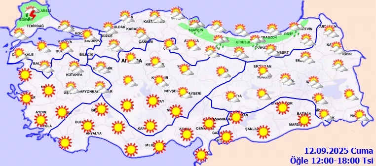 12-rull.webp